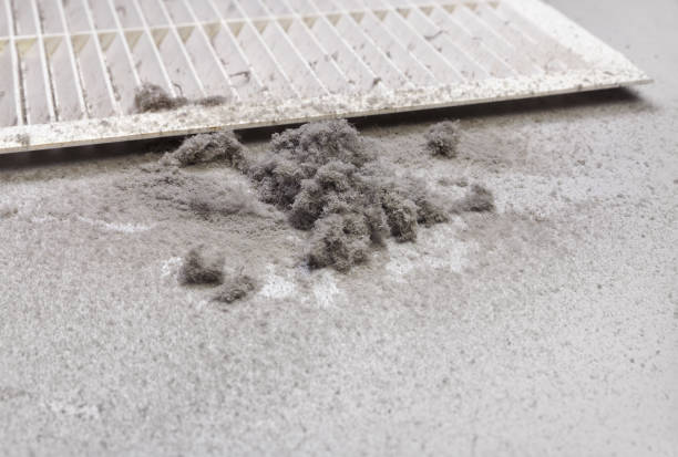 Best Local Air Duct Cleaning Services  in Greensburg, KY